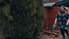 CritterLeafBlower emote for Discord