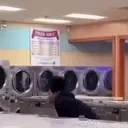 crashfall emote for Discord