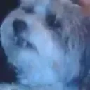 Crunch emote for Discord