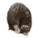 CreatureSpin emote for Discord