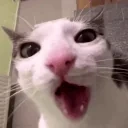 crunch emote for Discord