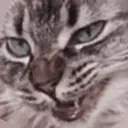 Crunch emote for Discord