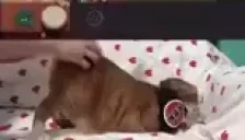 DnBsession emote for Discord