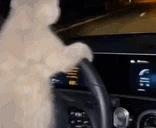 Driving emote for Discord