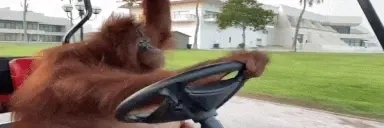 Drivin emote for Discord