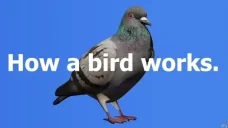 Drohne emote for Discord