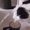 Drinking emote for Discord