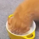 drink emote for Discord