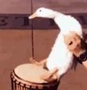 drummers emote for Discord