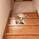 Drop emote for Discord