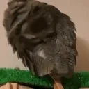 drugs emote for Discord