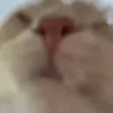 drinking emote for Discord