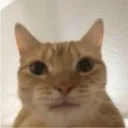 dreamed emote for Discord