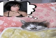 Dreaming emote for Discord