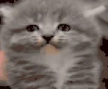 DragonsDogma2 emote for Discord