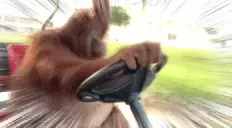 drivefast emote for Discord