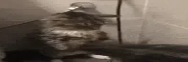 Dry emote for Discord