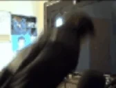 DreadDIESOFCRINGE emote for Discord