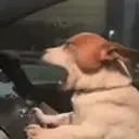 drive emote for Discord