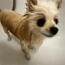 Drehbeth emote for Discord