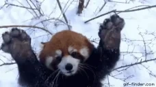 drugz emote for Discord