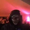 drututtwhy emote for Discord