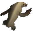 Druiding emote for Discord
