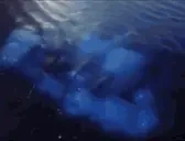 DragonZord emote for Discord