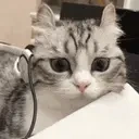 DrainGangTime emote for Discord