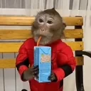 drinkk emote for Discord