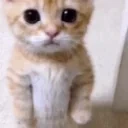 Drip emote for Discord