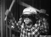 DrumMonkey emote for Discord