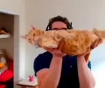 DropTheHerby emote for Discord