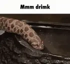 DRIMK emote for Discord