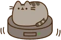 driftcat emote for Discord