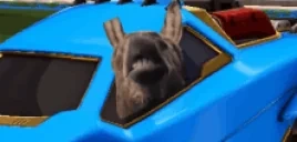 drunkey emote for Discord