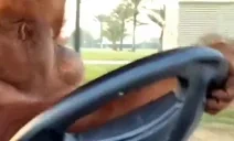 Driving emote for Discord