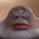 DriveRush emote for Discord