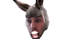 dreadsdonkey emote for Discord