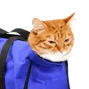 dsc_onnected emote for Discord