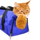 dsc_mhm emote for Discord