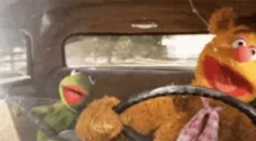 drivehappybutcarefreekermit emote for Discord