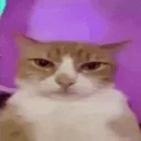 drippy emote for Discord