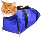 dsc_leave emote for Discord