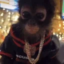 dripki emote for Discord