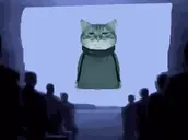 dsc_1984 emote for Discord