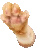 dsc_wwave emote for Discord