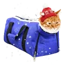 dsc_ember emote for Discord