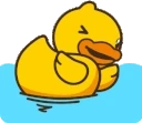 DuckyDip emote for Discord