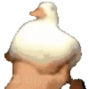 duckHype emote for Discord